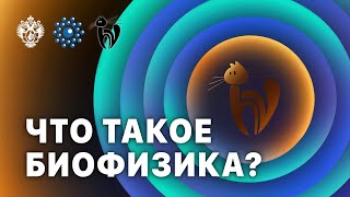 Что такое биофизика?