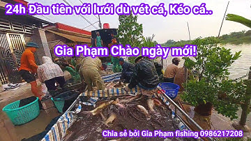24h Đầu tiên với Lưới dù kéo cá, lưới dù vét cá. Nest fishing.