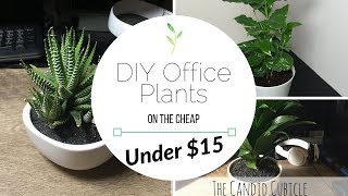 Hey Everyone! One of the easiest ways to bring some life to you desk is adding plants. Unfortunately they can be a bit expensive 