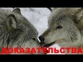 У ЖИВОТНЫХ ЕСТЬ ДУША.. ДОКАЗАТЕЛЬСТВО