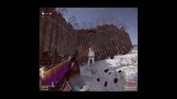 ctrl vs vital rust tage