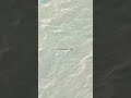 Lakshadweep vlogs