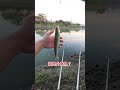 玉米無限可能#鹽巴嚴選