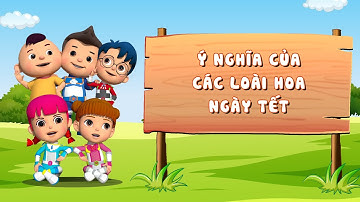 17 | Ý NGHĨA CỦA CÁC LOÀI HOA NGÀY TẾT