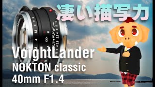 初マニュアルレンズ体験Voigtlander Nokton 40mm F1.4で写真の楽しさを再発見