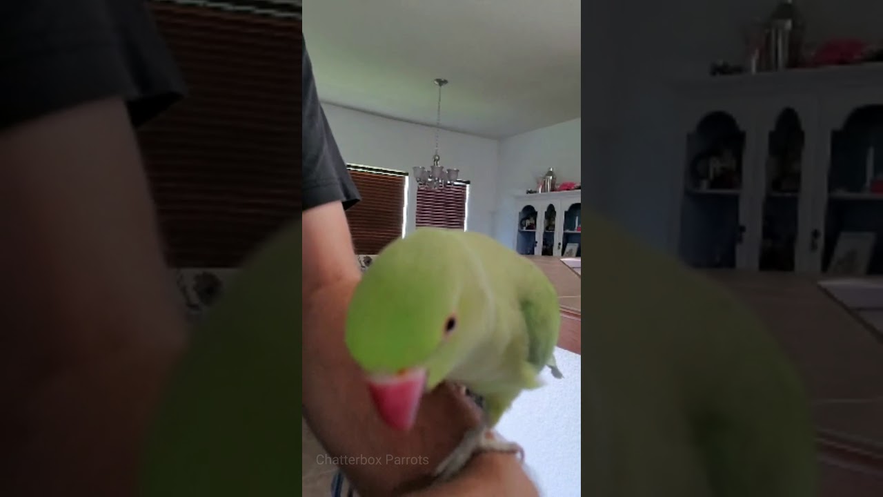 When you love yourself