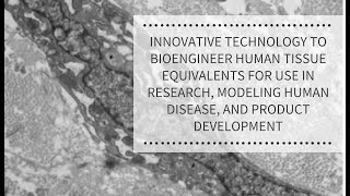 Innovative Technology to Bioengineer Human Tissue | REPROCELL