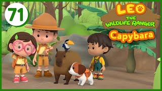 The Capybara  Leo The Wildlife Ranger (Episode 71)