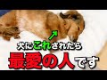 【飼い主必見】犬が心の底から好きな人にだけ見せる仕草7選