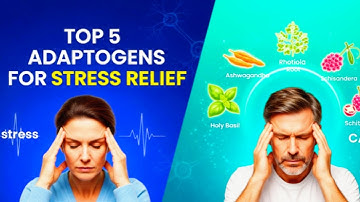 Top 5 Adaptogens for Stress Relief | How to Use Ashwagandha, Rhodiola & More