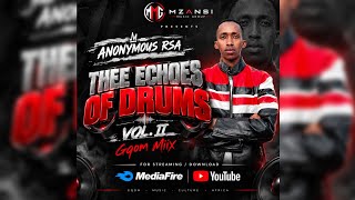 Thee Echoes Of Drums Vol. II(Gqom Mix)