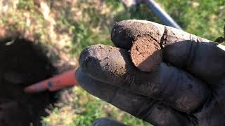 Minelab Equinox 800 Dig less nails and more coins tip.