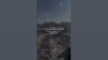 [سورة التوبة] الآية 51