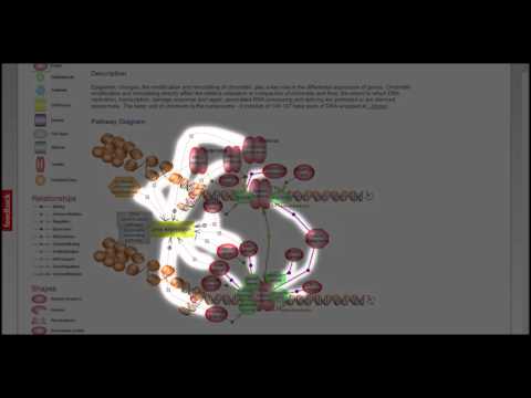 Molecular Pathway Diagrams Tutorial