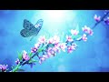 Relaxing Music for Stress Relief. Enhance Positive Energy. Calm Sleep Music. Meditation Music.