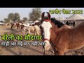 बकरी के भाव 15 घोड़े खरीद कर क्या बोला व्यापारी | nagour pashu mela 2021 | horse mandi | pkraj vlogs