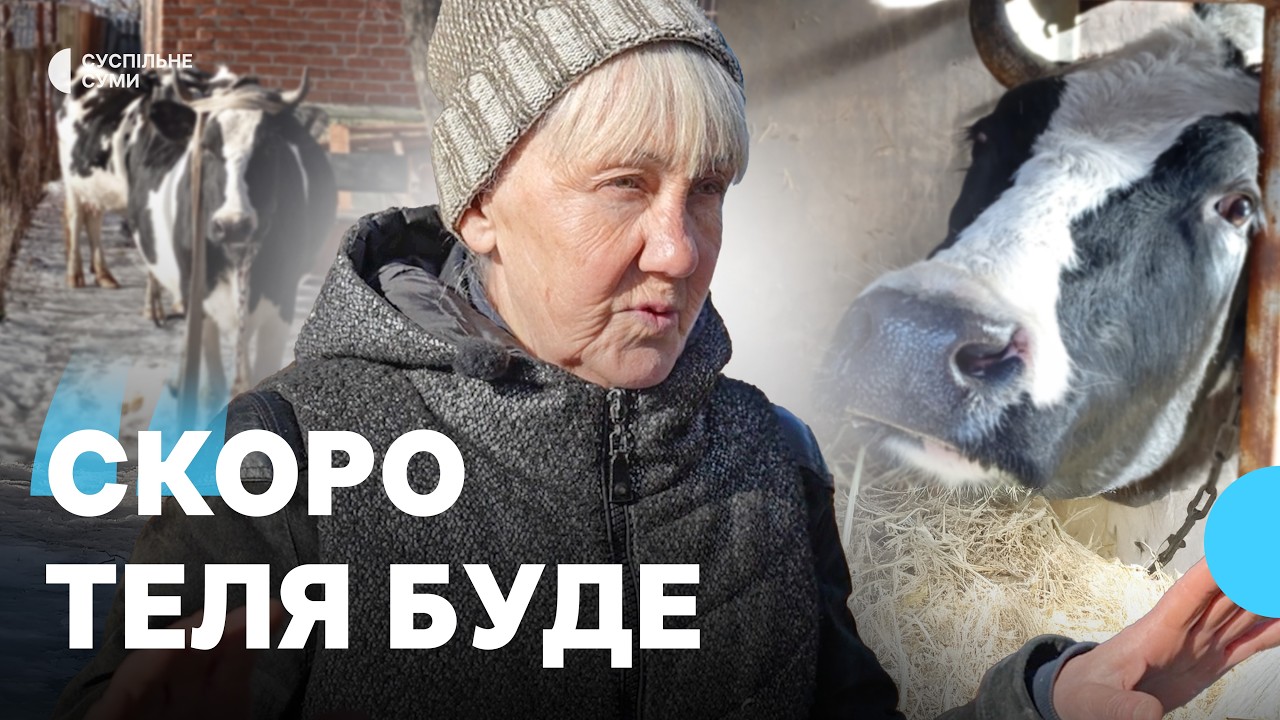 Жителька Сумщини евакуювала корів до Сум після влучання FPV-дрона РФ
