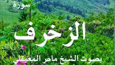 سورة الزخرف بصوت الشيخ / ماهر المعيقلي 43