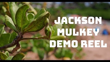 Jackson Mulkey - Demo Reel 2021 - (Director/DP)