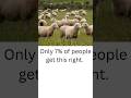 Only 7% Know the Capital of New Zealand! | S1Q4 #shorts #short