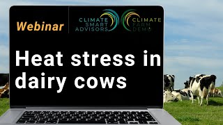 Heat stress in dairy cattle | How to recognize, prevent and reduce negative effects | Webinar