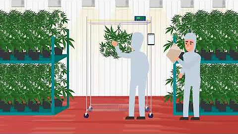 StashStock's CannaScale: METRC Integrated Scale Solution.