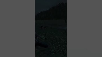 A freshy with a dream! 🌠 #dayz #xbox #shorts #memes