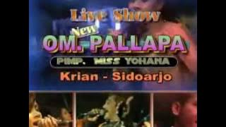 palapa lawas selingkuh