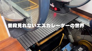 【激レア映像】エスカレーターの世界