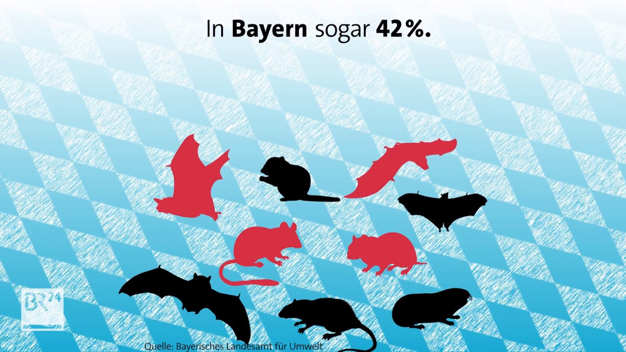 Die Rote Liste wird länger: Immer mehr bedrohte Arten 