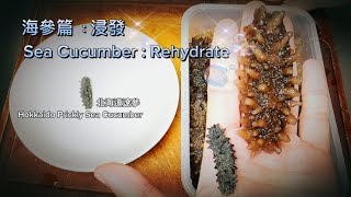 《家嘗別飯》鮑參翅肚篇 (海參篇) : 浸發海參 (海參有幾多種類?) (乜會有發過龍?)【Dong Dong Kitchen】 Sea Cucumber : Rehydrate