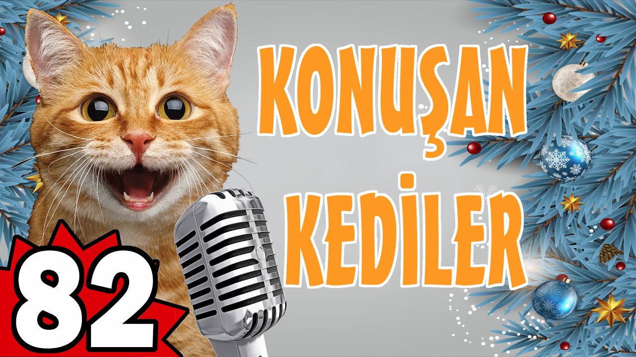 Komik Kedi Videoları - Konuşan Kediler 82