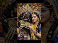 Jay Shri Radhe Radhe 🌸🌸