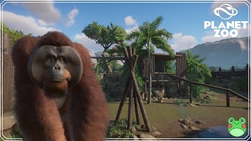 🦧 Orangutan Habitat - Planet Zoo Speed Build ~ Paradise Creek Santurary