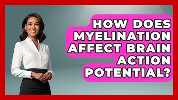 How Does Myelination Affect Brain Action Potential? - Brain Development Hub