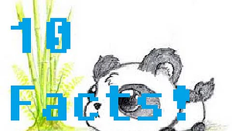 10 Facts You Probably Didn't Know About Pandas!