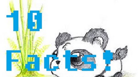 10 Facts You Probably Didn