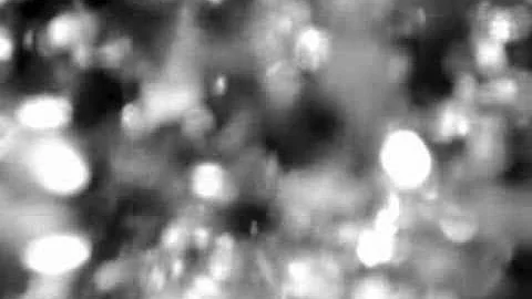 B.O.M ft Elizabeth Fraser -   Roach
