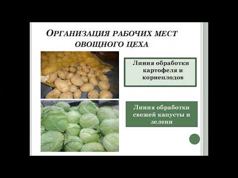 Организация работы овощного цеха