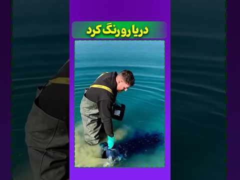 این مرد دریارو رنگ کرد