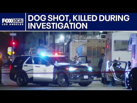 Dog shot during Sun Valley investigation