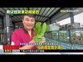 雲林葉菜「泡水逾7成」 全台營養午餐供應受影響@newsebc