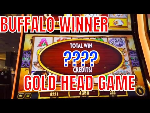 Craps The 2 Bets Even Beginners Can Master || #shorts #casino #slotscasinogames #casinostrategy