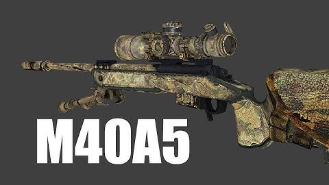 [CSS]M40A5 with MW2019 animations