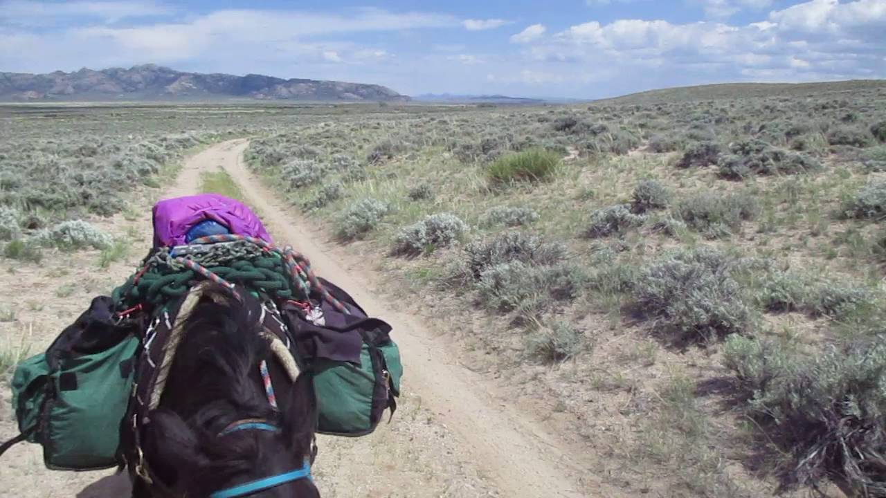 Riding the Oregon Trail through Sun Ranch