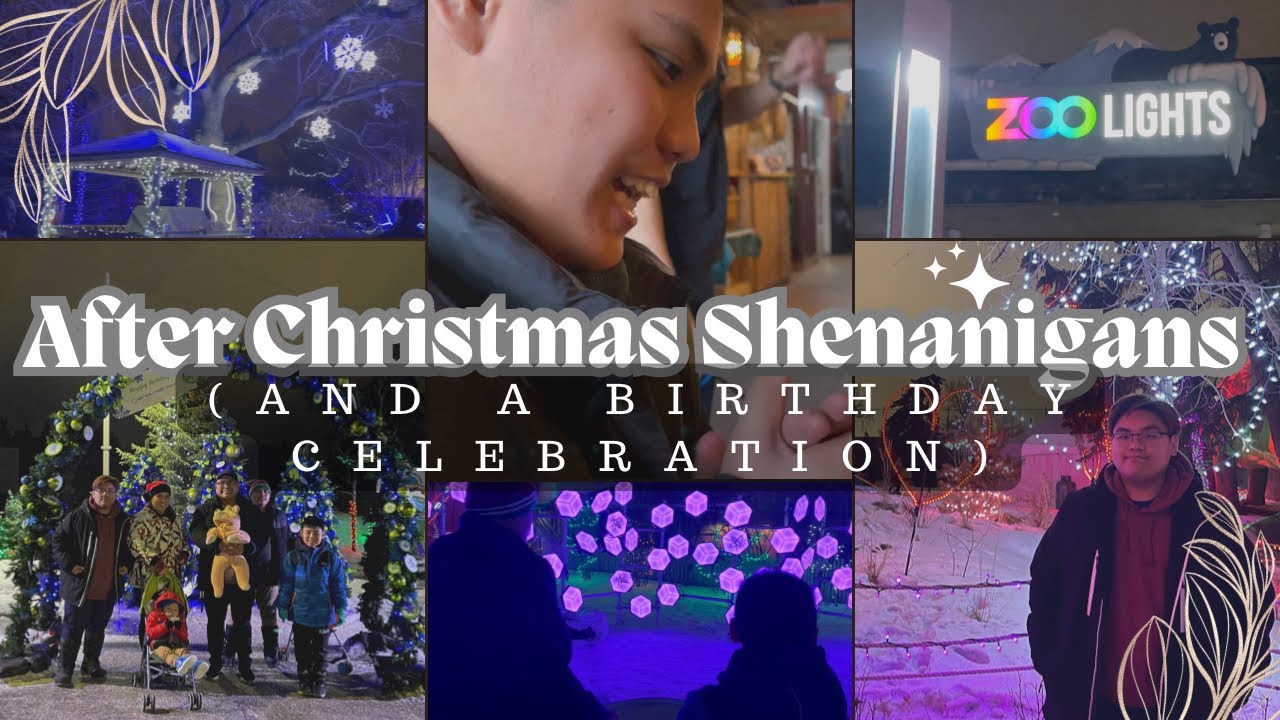AriVlogs - (4K) Post Christmas Moments: Calgary Zoo Lights, and Arkie’s Birthday!