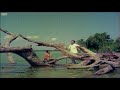 Ninaivaale - Andaman Kadhali Video Song HD | Sivaji Ganesan, Sujatha Mp3 Song
