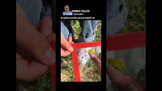 Sevgilime Bundan Yapsam Beğenir Mi