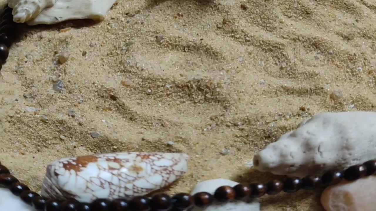 برج الثور ♉فرصه عمر بتتفتح قدامك والقدر بيجهىزلك مكافأة كبيرة سر كبير هينكشف وهيغير #القارئه_ام_احمد