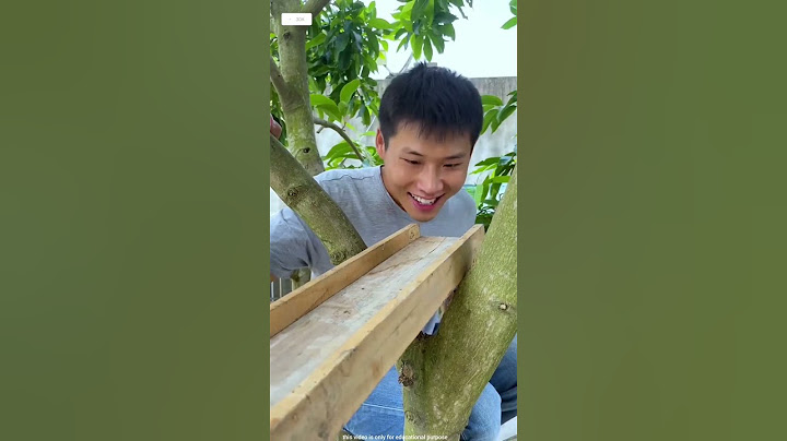 Ayodhya Ram Mandir Mini Vlog 🤩~#shorts #freefireshorts #funnyvideos #ayodhya #tiktok #fun